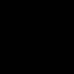 Meet your Posher, Vee